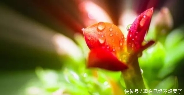 将由忧转喜,喜笑颜开之人