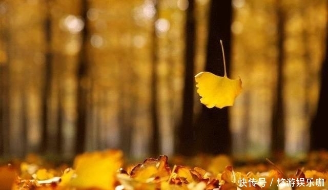 季节|人这一生,最难活出自己的季节