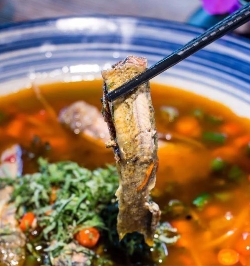 比肉|最好吃的鱼,营养是甲鱼8倍,16块钱一斤,比肉便宜无人买