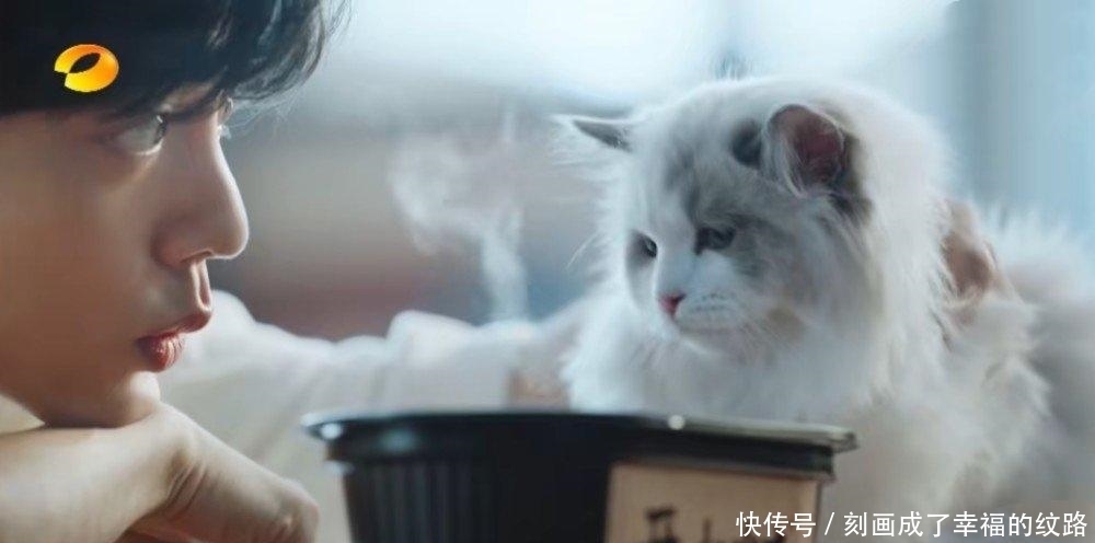 广告|肖战“开小灶”,合作《中餐厅》,形势一片大好!