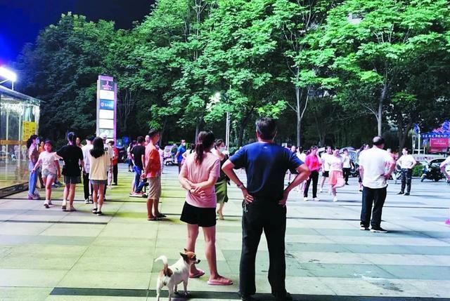  市民|你又不是二郎神，遛狗为啥不牵绳