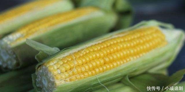 学会|新鲜玉米,不要直接冷冻!学会这么做,玉米放一年都吃着新鲜
