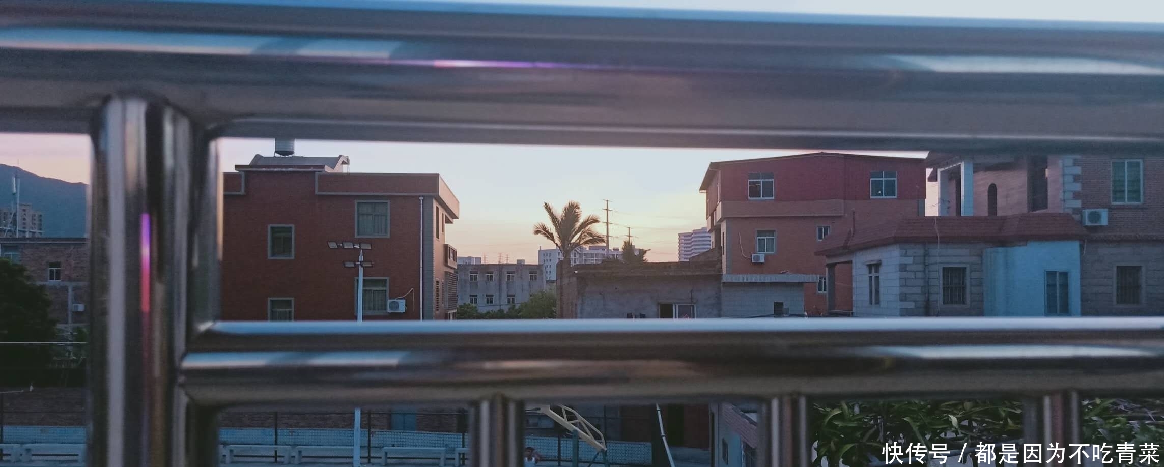  真心话|情感随笔，我的真心话