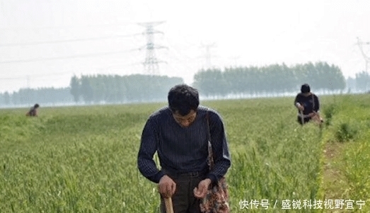 徐梦楠|高考不公平?却是普通人不用拼爹,最快成功的途径!