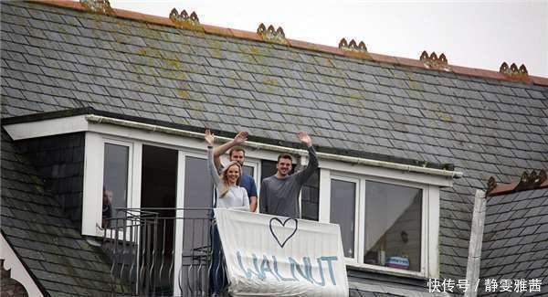  小狗|带着老小狗去海边最后一次旅行，没想到海边有数百人来了