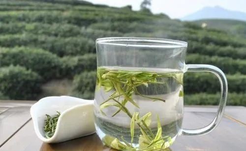 绿茶|绿茶应不应该洗茶?这篇文章告诉你!