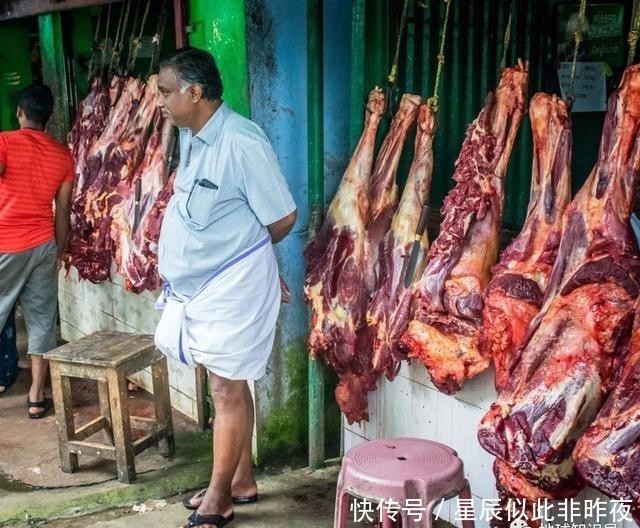 到底|印度,到底让不让吃牛肉?|地球知识局