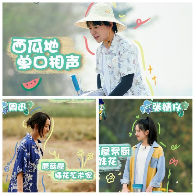 年头|“向往老友记”的第四个年头,为何热度只增不减