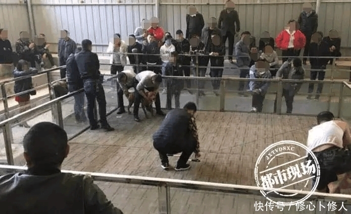 警方|一天抓了128人! 现场混乱不堪.提醒家人千万远离赌博