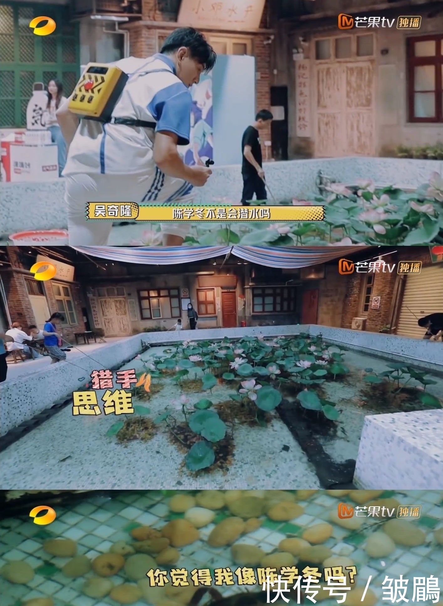 综艺|今年最好笑的综艺!胡军杨洋领着一群男人天南海北地玩捉迷藏