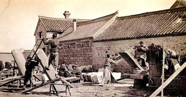 方仁实家|一棵香椿树，三条人命案，县令慧眼辨凶，不肖子孙被斩首示众