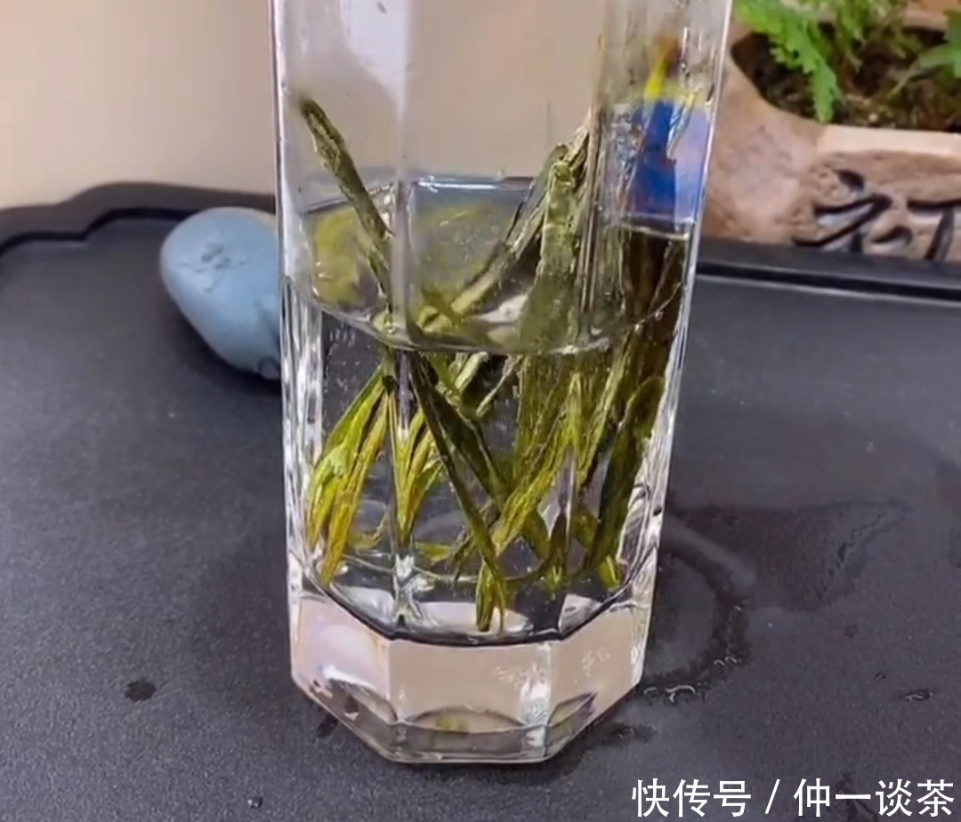 太平|太平猴魁到底是什么茶?今天算长见识了
