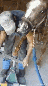  GIF|搞笑GIF：孩子，要不要考虑一下加入体操队啊