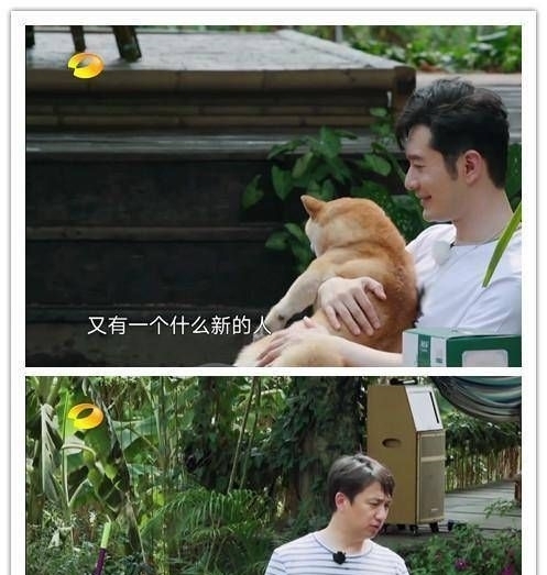 生活4|黄晓明和黄磊在《向往的生活》疑似鼓励肖战,何炅一句话都没说