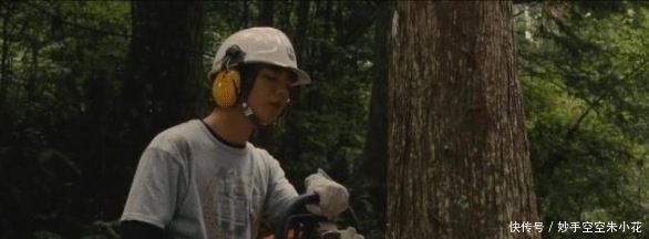 砍树|日本从不砍树,96%的筷子纸巾都来源于中国,时隔15年如今怎么样了?