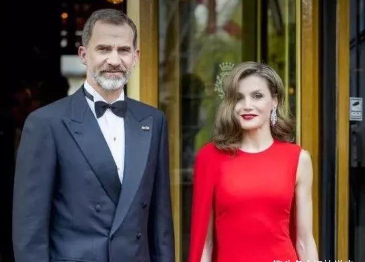 灰姑娘|莱蒂齐亚王后48岁了!五官精致宛如画中人,灰姑娘收获童话爱情