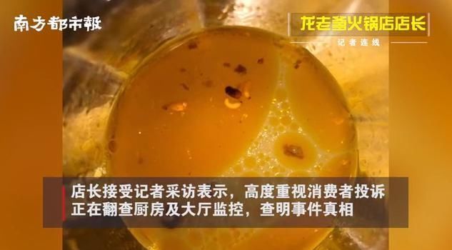 漂浮|火锅吃到一半，惊觉汤底漂浮疑似蛆虫更恶心的是……