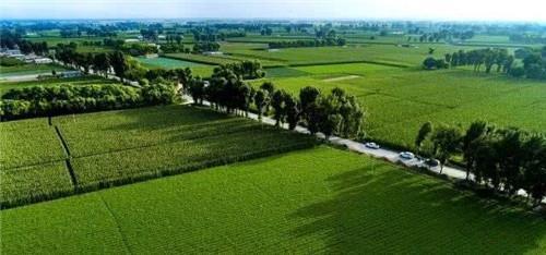 毛乌素沙漠|中国一沙漠已有8成变绿,面积比海南岛还大,即将从版图上消失