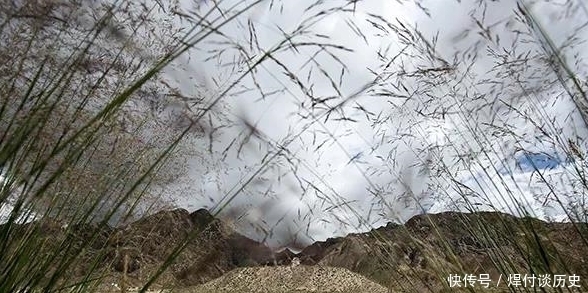 血渭一号|公安破获盗墓大案，盗墓为何经久不衰？