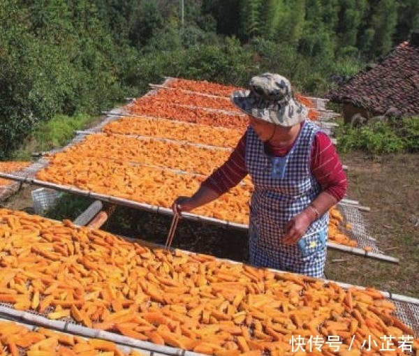 成箱|北方人不敢吃,南方人成箱屯过年吃,外国人!好吃到舔手指