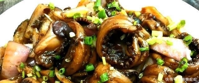 好吃|章鱼须这样做太好吃了,香嫩入味,麻辣爽口,好吃到停不下来