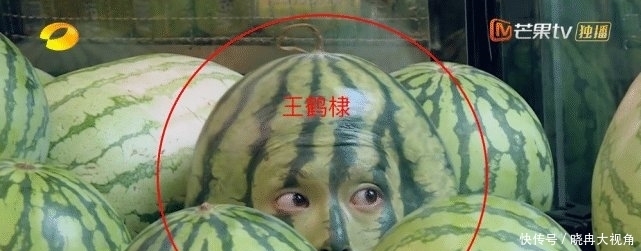 元气|《元气满满》最强帮藏嘉宾, 反手淘汰王耀庆, 辅助杨洋取得胜利