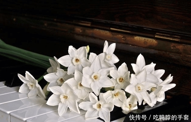 狠心|发脾气时，狠心话张口就来的三个星座