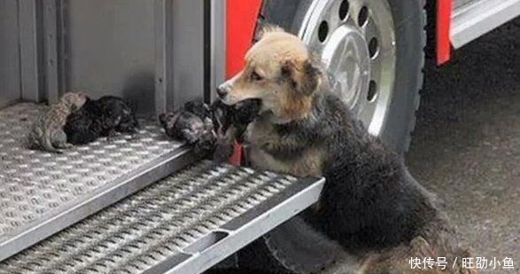  沉默|十张感人照片, 第五张让我沉默