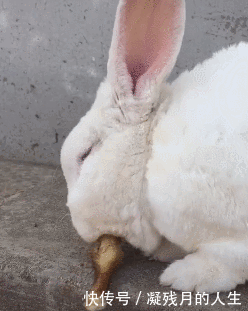 大哥|看到大哥的结婚照，有点心疼新娘子，真是太不般配了