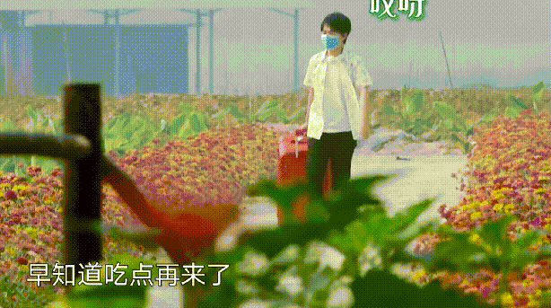  相声|从青年相声演员到综艺“新贵”，郭麒麟靠的是什么？