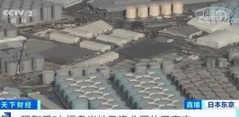 计划|日本这一计划遭强烈反对!