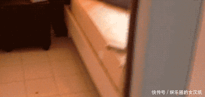 姑娘|GIF搞笑趣图: 日本最清纯的姑娘, 请问你看到她对她还有仇恨吗?