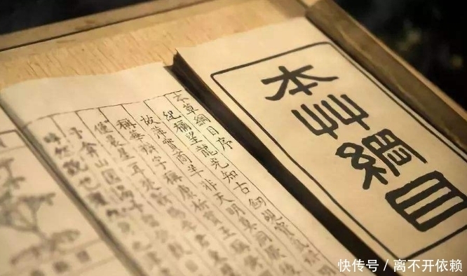 本草纲目|古人为何不吃猫肉?原来李时珍的《本草纲目》早已有了记载