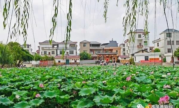 林泉|朱虹 林泉:王阳明在南赣