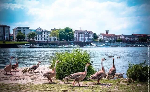 古城堡|60几岁的古城堡之途为什么能一直维持“青春年少”?