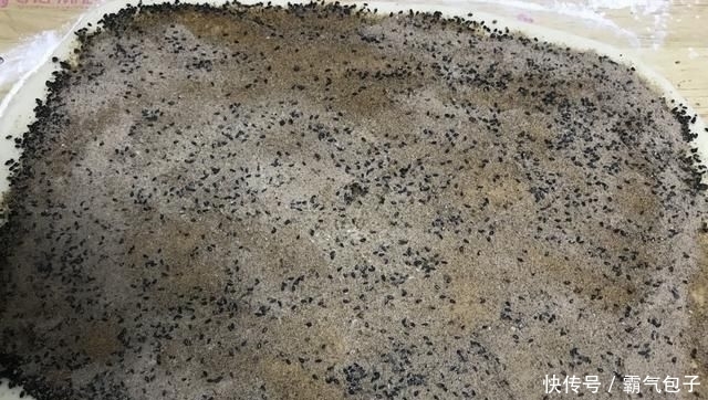 发面饼|不用发面做发面饼,千层饼,万颗渣,越嚼越香,做法新颖还简单