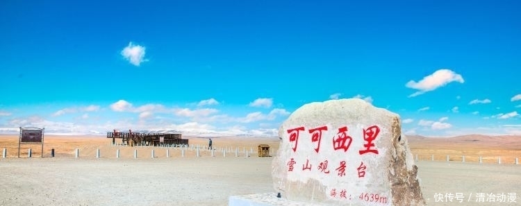 自然保护区|你可能误解了什么!可可西里不是诗和远方,这里有狼、熊、豹……