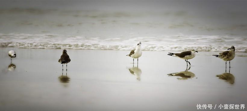 结束|未来2周，感情不是分手就会结束，3星座念念不忘，回头求和