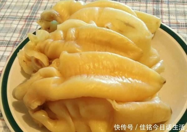 手把手|细数花胶的那些坑,鱼胶和鱼鳔并不一样,潮汕人手把手教你选花胶