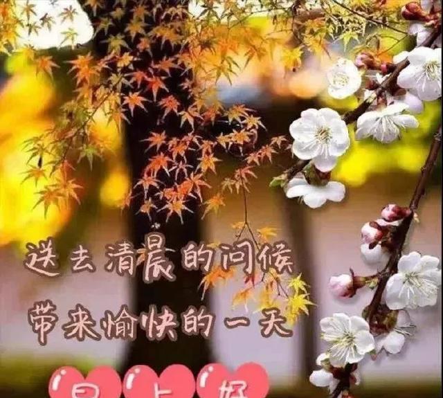 镜子|清晨到,对着镜子照,照一照,笑一笑,所有烦恼都跑掉,早安