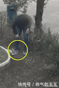 伤害|“我从没伤害过人,但还是被打死了 ”