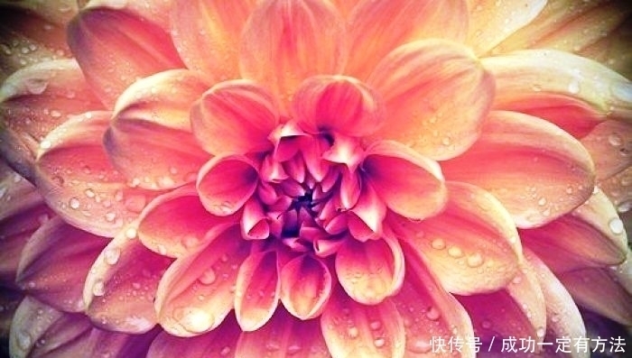 走心|经典走心的句子人生很多事，不是不懂，只是无奈，这就是生活