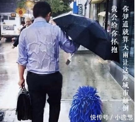  司法程序|“雨伞爸爸”的照片被用到了白酒广告上, 伞爸怒了, 走司法程序!