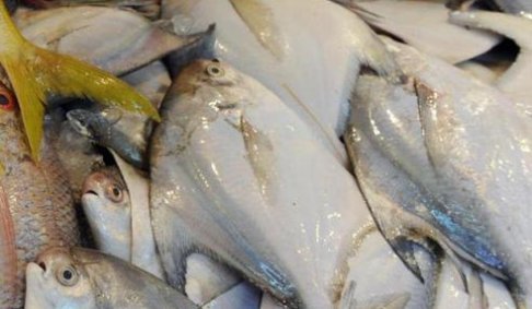  聪明人|去菜市场买鱼，聪明人专挑这4种，目前没办法人工养殖，放心吃吧