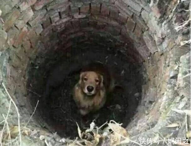  面人|趣味图片幽默段子笑话：吃面人多才热闹嘛，厉害了，哈哈哈