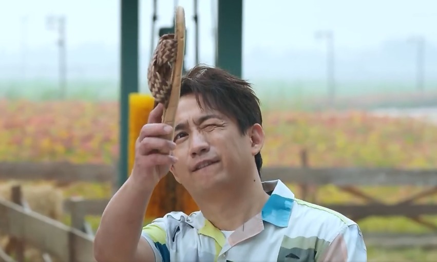 画风|《向往4》更新宣传片,张子枫扛梯子飞奔,蘑菇屋画风跑偏太沙雕