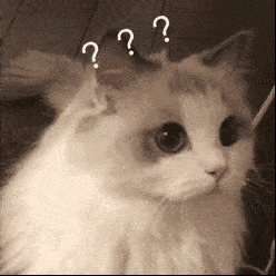 道位|首播破亿姐姐撕逼互怼,跪求加出道位