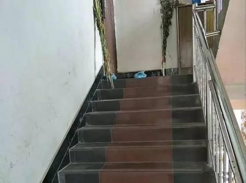 农村|去男友乡下老家,他说的茅草房原来是别墅,感觉自己赚翻了