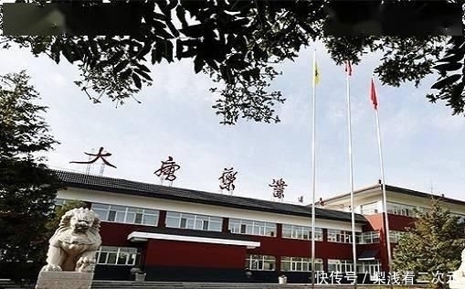 念经|大唐药业八成核心技术借外来“和尚”念经 蒙药开发或系“噱头”