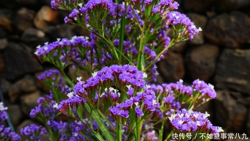 旺盛|九月份开始,桃花运旺盛的4大星座,注定脱单遇真爱!